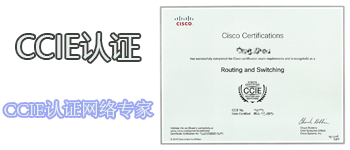 화지테크놀로지-CCIE 인증